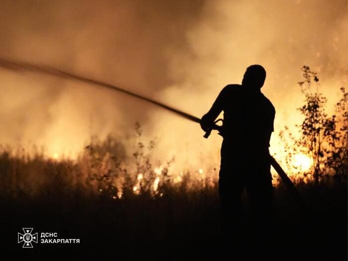 Рятувальники боролися із пожежею