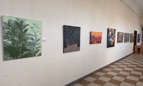 Колекції Музею Бокшая