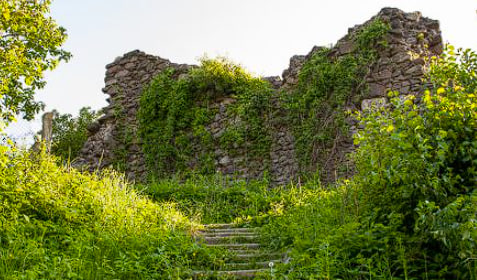 Бронецький замок