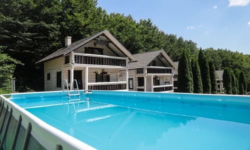 Forest Stream Закарпатська область