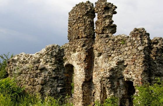 Королівський замок "Нялб"